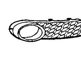 GRIGLIA P/TI A/DX C/FEND VW NEW BEETLE 01/06>