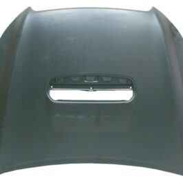 COFANO ANT C/FORO SUBARU LEGACY 09/09>