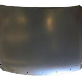 COFANO ANT TOYOTA HILUX 01/20>