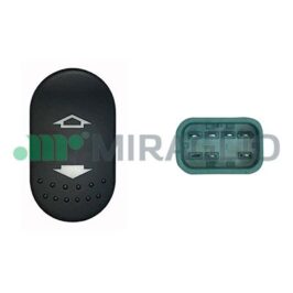 INTERR.ALZ.A/DX FOCUS 98-20016 PIN