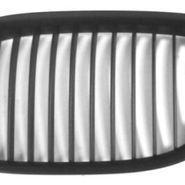 GRIGLIA A/SX NERA BMW SERIE 7 F01-F02 01/09>