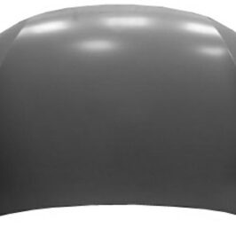 COFANO ANT SUZUKI BALENO 01/16>