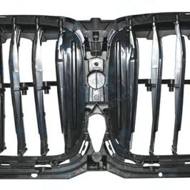 GRIGLIA INT BMW X5 G05 08/18>