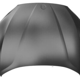 COFANO ANT BMW X5 E70 01/07> X6 E71 01/08>