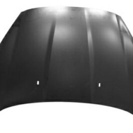 COFANO ANT FORD FIESTA 01/13> -TUV-