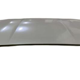 COFANO ANT BYD SEAL 01/23>