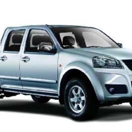 P.ZZA VR C/FIN.GREAT WALL STEED 09>