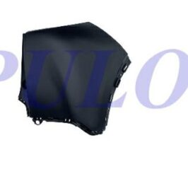 CANTONALE P/DX PRIM PEUGEOT 2008 01/19>
