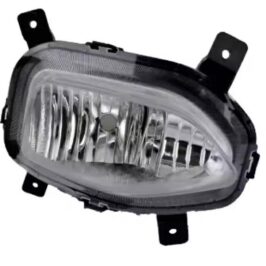 FEND DX MG HS-EHS 12/2020>